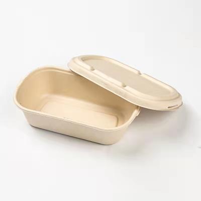 China Disposable Compostable Disposable Salad Pulp Food Containers Meal Biodegradable Box for sale