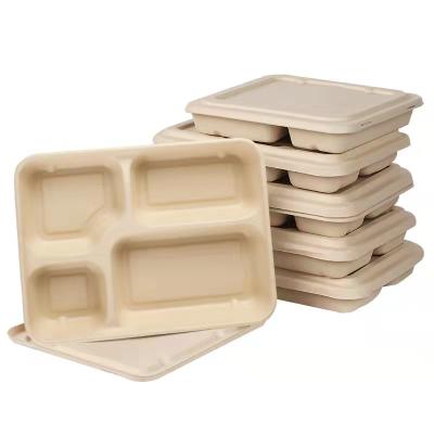 China Biodegradable Takeaway Container Meal Prep Microwable Disposable Lunch Box Container 3 5 6 Compartment Takeout Box for sale