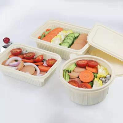 China Disposable High Quality Biodegradable Mealtime Mealtime Food Container Safe Lunch Microwavable Bento Box for sale