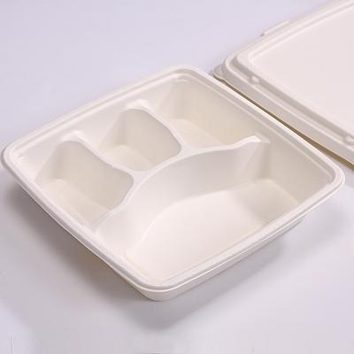 China Disposable Biodegradable Food Containers Food Box Bento Plastic Takeaway Lunch Box for sale