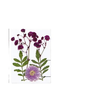 China 5pcs Festival Dried Flower Set DIY Plants Photo Frame Soap Phone Case Embossing Glue Relief Plant Handmade Natural Wholesale for sale