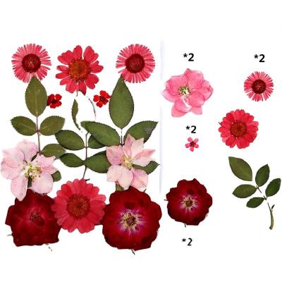 China Festival 12pcs Mixed Flower Set DIY Embossing Dry Flower Soap Phone Case Glue Relief Plants Photo Frame Plant Handmade Wholesale for sale