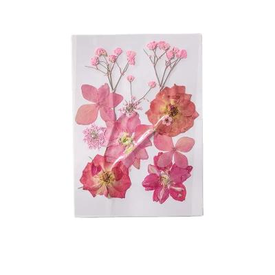 China Festival 12pcs DIY Embossed Dried Flower Marks Material Package Decoration Crafts Natural Herbarium Face Makeup Factory Wholesale CHINA for sale