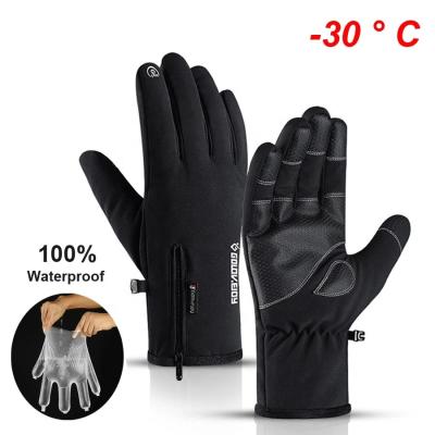 China 100% Finger Waterproof Full Winter Gloves Outdoor Sport Cycling Windproof Cycling Ski Gloves For Scooter Motorcycle Riding Glove for sale