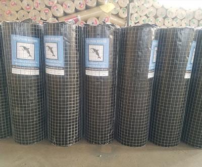 China Galvanized welded mesh for sale