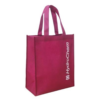 China Wholesale Handled TNT Style 100gsm Wine Red Color Non Woven Shopping Bag for sale