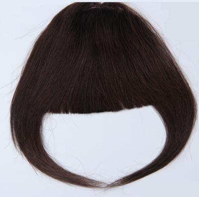 China 100% Real Hair Bangs Straight Human Remy Hair Clips In Hair Bangs for sale