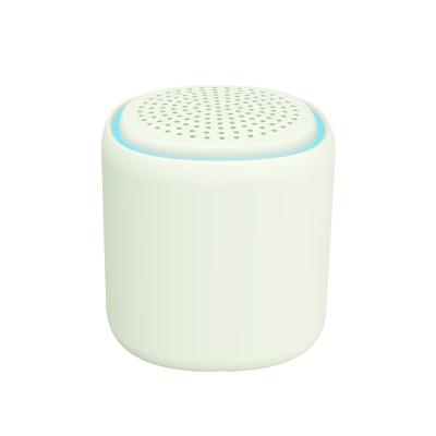 China 2021 Phone Function 2021 Gifts Promotion Gifts Promotion Speaker Magnetic Active BT Mini Inpods Little Fun Color 5.0 Active Radio Speaker Small for sale