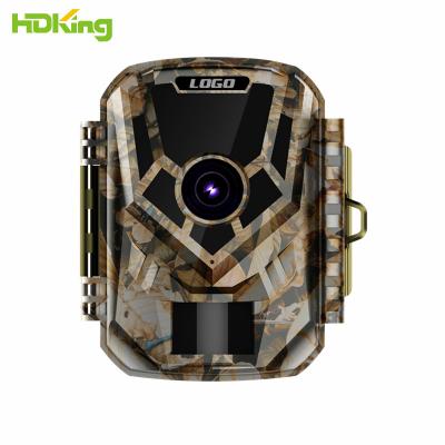 China HDKing IP65 FHD 1080P 12MP Waterproof Hidden Trail Camera Weather-Resistant Non-Cellular Hunting Camera for sale