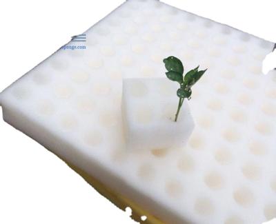 China Excellent Water Retention China Factory Sale Vegetable Hydroponics Sprout Growing Sponge Melamine Foam for sale