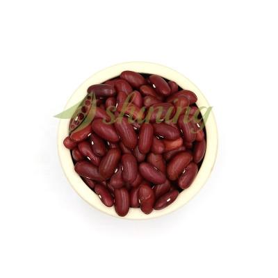 China Chinese Wholesale Dried Canned Dark Red Kidney Beans for sale