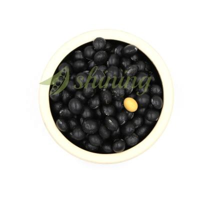 China Wholesale Cheapest Factory Price Dry Export Bulk Black Soybeans for sale