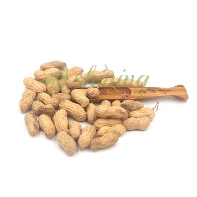 China Cheap Price Dry Dried Bulk Raw Peanut Peanut To Shell for sale