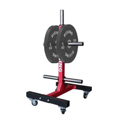 China Modern Dumbell Exercise Equipment Gym Squat Wall Mount Power Pulley Weight Rack for sale