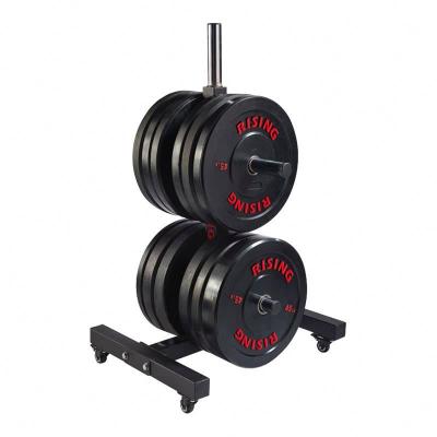 China Modern Gym Equipment Rack Bench Weight Storage Barbell Tree Plate Squat Rack for sale