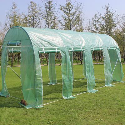 China Easily Assembled Garden Tunnel Greenhouse Backyard Polytunnel Green House Plant Tent Growing Tent for sale