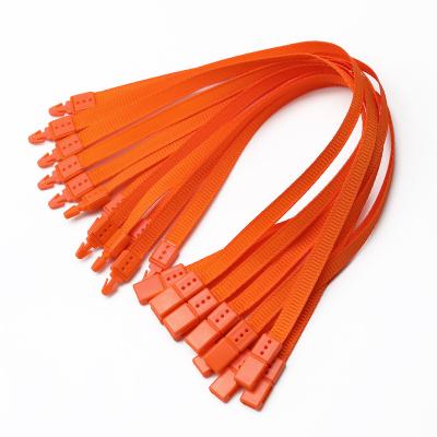 China Other Clothes Label Plastic Hanging Tag Rope Color Ribbon Nylon String Tag Strap for sale