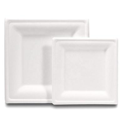 China Disposable Compostable Square Plates 50-Count Heavy Duty Disposable Biodegradable Sugar Cane Fiber (Bagasse) Dish For Dinner for sale