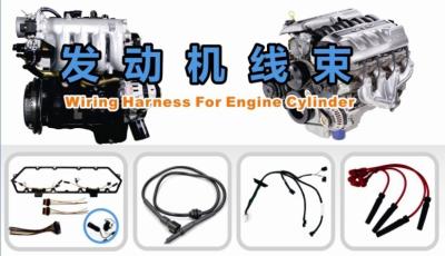 China Edgar Wiring Harness For Engine-Zylinder zu verkaufen