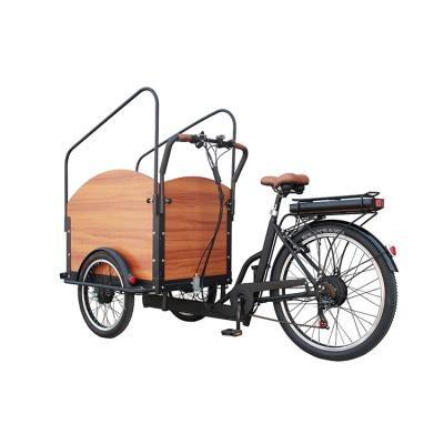 China China standard factory electric cargo bike with cargo box for sale for sale