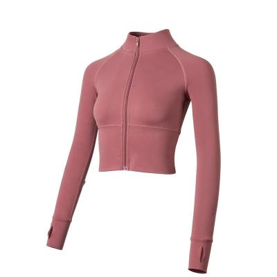 China Breathable Workout Fitness Sheath Long Gym Top Zipper Women Yoga Jackets Turtle Neck Quick Dry Cropped Jacket for sale