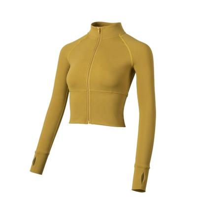 China Selling Workout Fitness Sport Wear Breathable Warm Long Sleeve Zipper-up Knitted Jacket For Women for sale