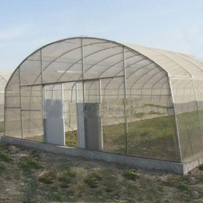 China High Waterproof Tunnel Greenhouse Agricultural Strawberry Green Houses for sale