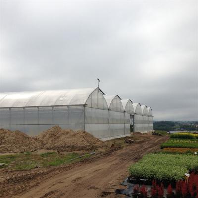 China Waterproof Mushroom Farm Greenhouse Tunnel For Agriculture for sale