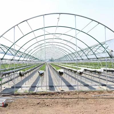 China Low Price Waterproof Mushroom Animal Black Film Growing White Greenhouse for sale