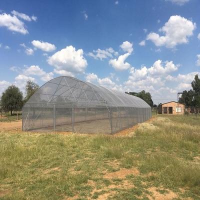 China Waterproof Single Span Farm Using Greenhouse Tent For Sale for sale