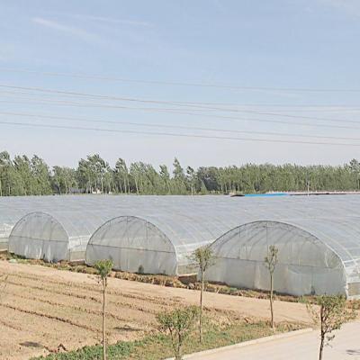 China Waterproof Polytunnel Polytunnel Greenhouse Poly Tunnel Greenhouse for sale