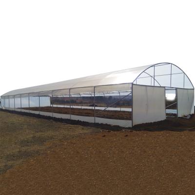 China Waterproof Thailand Strawberry Greenhouse Commercial Vertical Greenhouses for sale