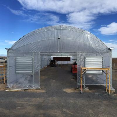 China Waterproof Tunnel Greenhouse-Price-South-Africa Greenhouse Tomato Seed for sale