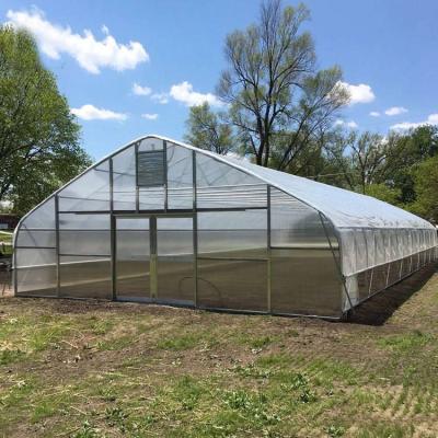 China Waterproof Polycarbonate Sheet Tarpaulin Structure Greenhouse Tunnel For Vegetable for sale