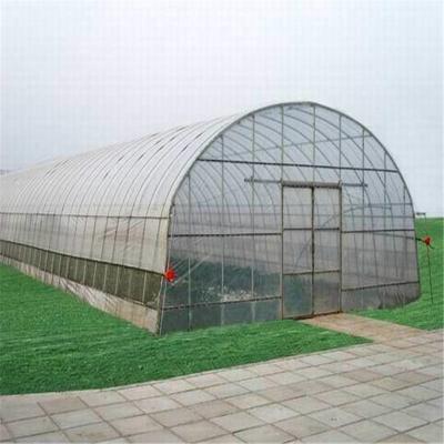 China Waterproof Single Span Green House Plastic Sheet Agricultural Greenhouse for sale