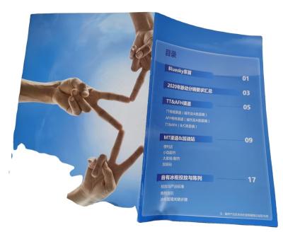 China paper & Cardboard Folded 200gsm Art Paper High Quality Flyer Insect Printing With Competitive Price for sale