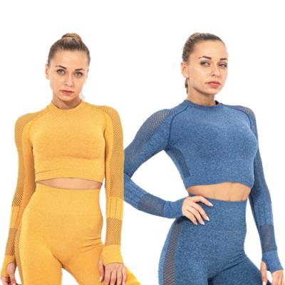 China Antibacterial Woman Fitness Yoga Wear Women's Yoga Suit Seamless Long Sleeve Crop Leggings Gym Clothing Top Fitness for sale