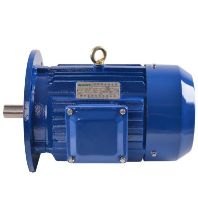 China INYOUNG Y Series Totally Enclosed Small Size Three Phase Induction Electric Motor For Car YS 9012 for sale