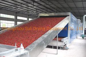 China Multistage Jasmine Mesh Belt Dryer Machine 0.2MPa-0.8MPa Belt Drying Equipment for sale