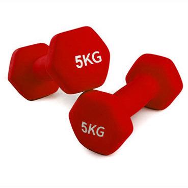 China Universal Factory 15Kg Set 18Kg 1Kg Weight 200Lb 20Kg 20Lb 24Kg Dipping Dumbbell for sale