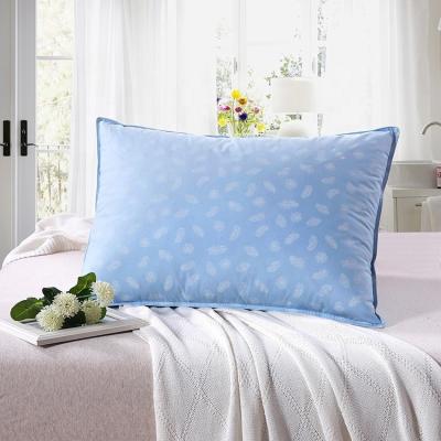 China Memory Customized Design Newest Buy Beautiful Soft Down Feather Bed Pillow for sale