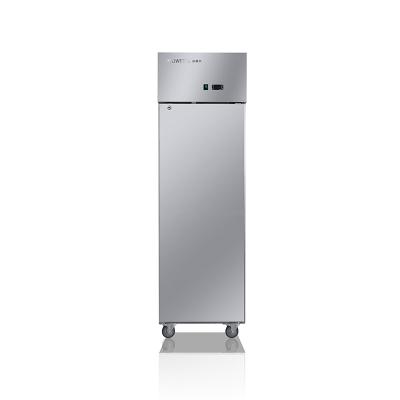 China Single-temperature new style commercial refrigerator hot selling vertical refrigerator for fruit and vegetable frizer refrigerator for sale