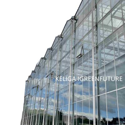 China Stable Structure Easily Assembled 2022 Hot Sale Glass Greenhouse for sale