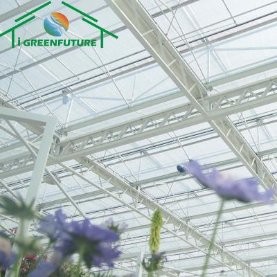 China Commercial Customized Glass Greenhouse Clear Glass Plant Strawberry Flowers Fruit Size Greenhouse Good Transmittance With Shading System for sale