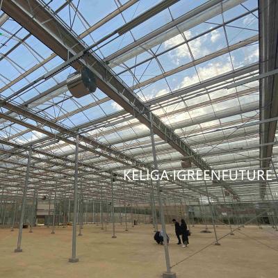 China Stable Structure Easily Assembled Commercial Glass Greenhouse 2022 Wholesale for sale