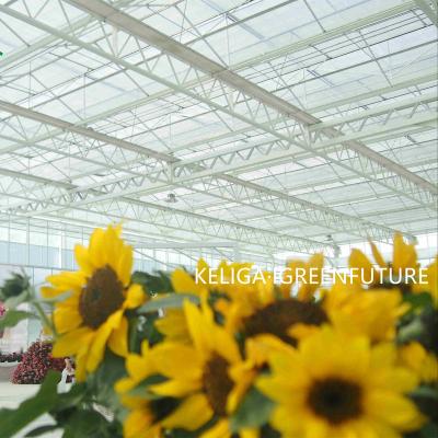 China Stable structure easily assembled multi-span complete glass agricultural greenhouse turnkey project with fast erection for sale