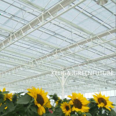 China Stable Structure Easily Assembled Cheap One-Stop Smart Glass Greenhouse for sale