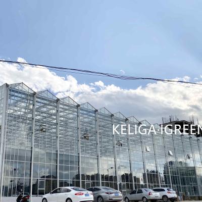 China Stable structure easily assembled specializing in the production of commercial intelligent glass greenhouse for sale