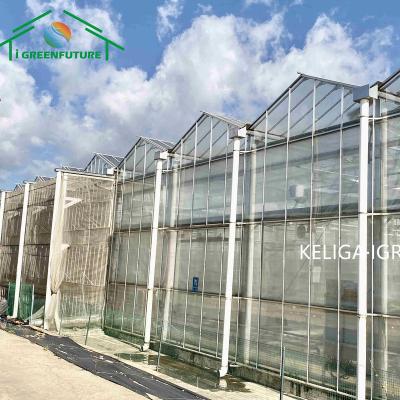 China Vegetable Professional Intelligent Automatic Cultivation Strawberry Flower Fruits Glass Greenhouse for sale