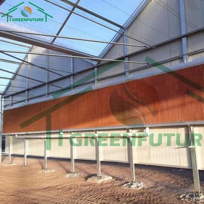 China Promotional Plant Growth Plant Manufacture Light Deprivation Greenhouse For Plant Breeding for sale